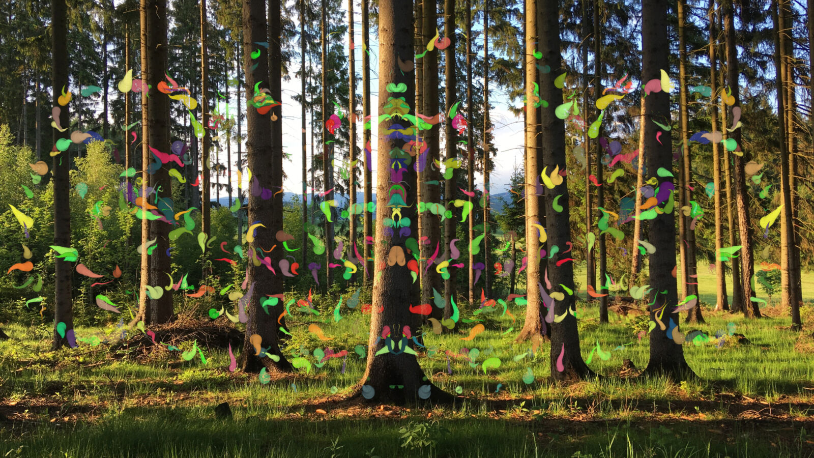 Stiftung Kunst und Natur Neu in der DAWN CHORUSApp Das MedienkunstFeature „Sonic Feather“