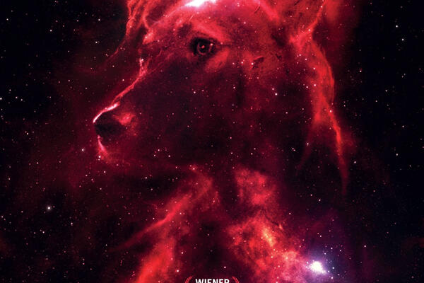 Sternenfilm: Space Dogs
