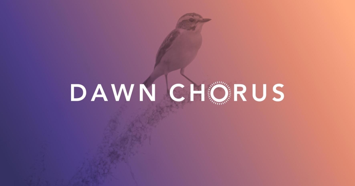 Nantesbuch DAWN CHORUS