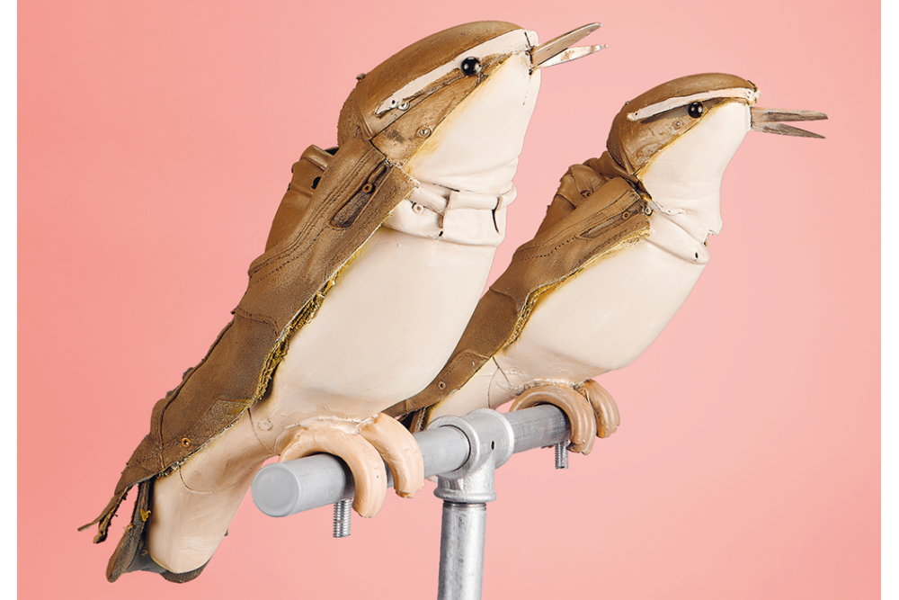 Vogelperspektiven